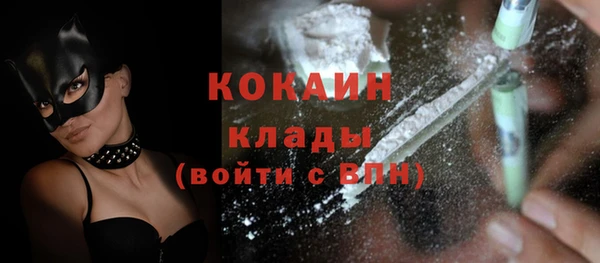 прущие грибы Лихославль