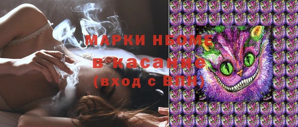 прущие грибы Лихославль