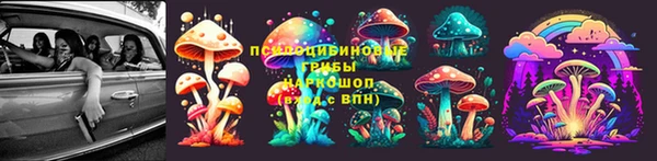 прущие грибы Лихославль