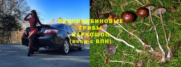 прущие грибы Лихославль