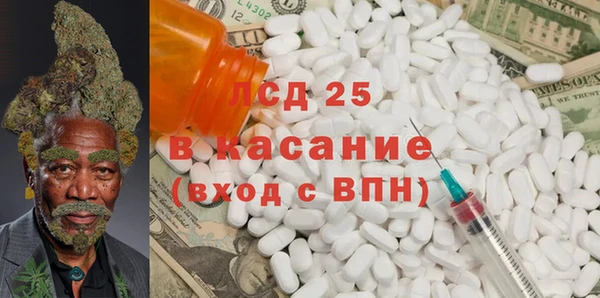 прущие грибы Лихославль