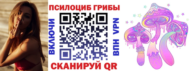 Купить где  Знаменск  Псилоцибиновые грибы Psilocybe 