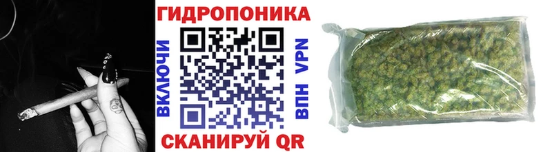 Каннабис OG Kush Купить где Знаменск